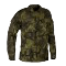 Mestská polícia