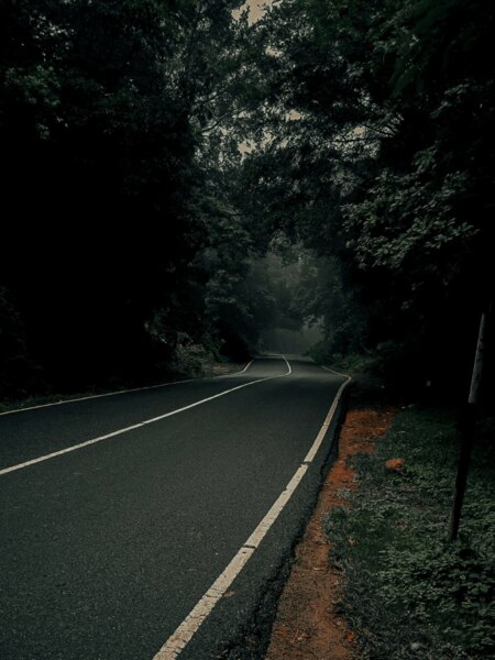 Lesná cesta v jesennom šere, ideálne prostredie pre zvýšené riziko zrážky so zverou. Zdroj: https://www.pexels.com/cs-cz/foto/asfaltova-cesta-mezi-stromy-10102957/