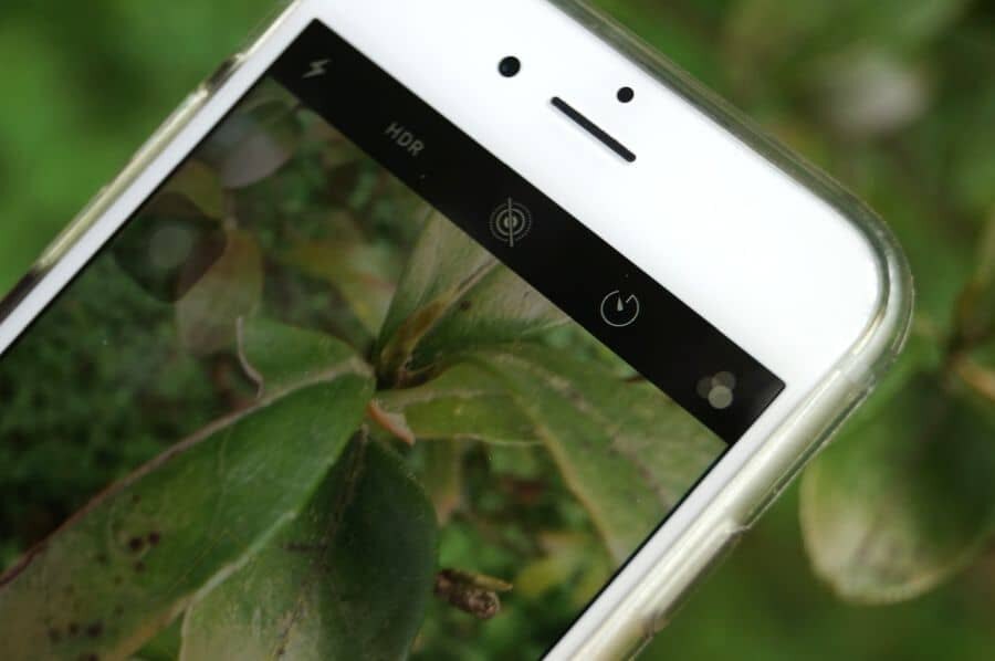 Krásne priblížená fotka mobilným telefónom