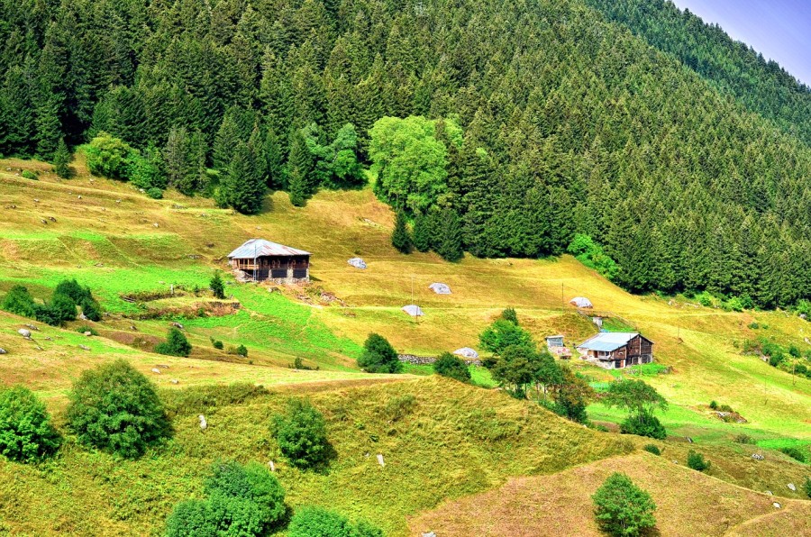 Jarná zelená príroda