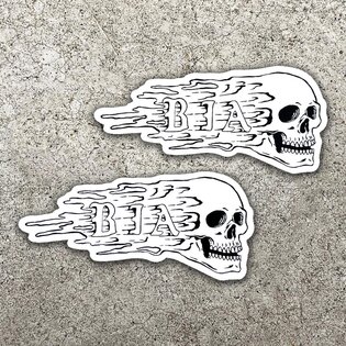 Nálepka Skull Brothers In Arms®